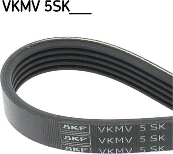 SKF VKMV 5SK595 - Ķīļrievu siksna ps1.lv