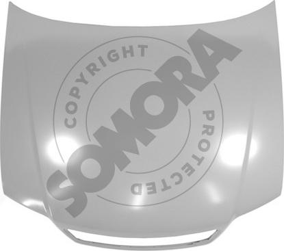 Somora 020908 - Motora pārsegs ps1.lv