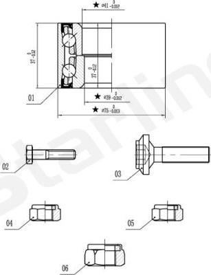 Starline LO 01355 - Riteņa rumbas gultņa komplekts ps1.lv