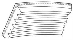 SUN 6PK1795 - Ķīļrievu siksna ps1.lv