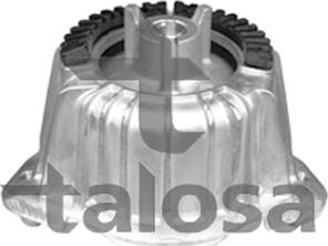 Talosa 61-09450 - Piekare, Dzinējs ps1.lv