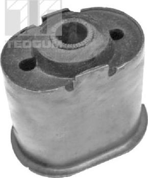 Tedgum 00196821 - Piekare, Lokšņu atspere ps1.lv