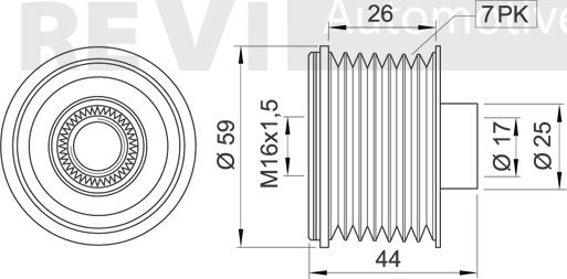 Trevi Automotive AP1162 - Piedziņas skriemelis, Ģenerators ps1.lv