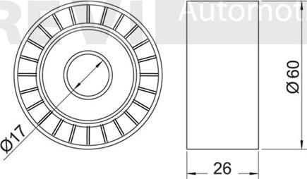 Trevi Automotive TA1662 - Parazīt / Vadrullītis, Ķīļrievu siksna ps1.lv