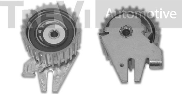 Trevi Automotive TD1724 - Spriegotājrullītis, Gāzu sadales mehānisma piedziņas siksna ps1.lv