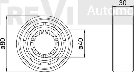 Trevi Automotive WB1858 - Riteņa rumbas gultņa komplekts ps1.lv