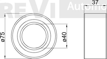 Trevi Automotive WB1343 - Riteņa rumbas gultņa komplekts ps1.lv