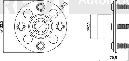 Trevi Automotive WB1267 - Riteņa rumbas gultņa komplekts ps1.lv