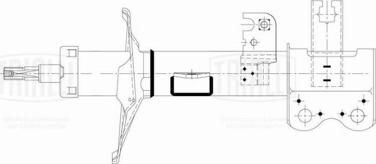 Trialli AG 30151 - Amortizators ps1.lv