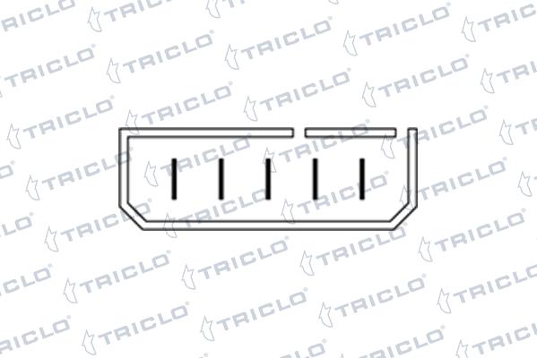 Triclo 145160 - Slēdzis, Stikla pacēlājmehānisms ps1.lv