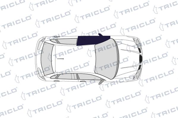 Triclo 145141 - Slēdzis, Stikla pacēlājmehānisms ps1.lv