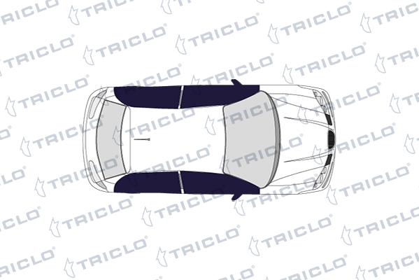 Triclo 143065 - Slēdzis, Stikla pacēlājmehānisms ps1.lv