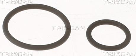 Triscan 596-1001 - Blīvju komplekts, Iesmidzināšanas sprausla ps1.lv