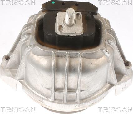 Triscan 8505 11106 - Piekare, Dzinējs ps1.lv