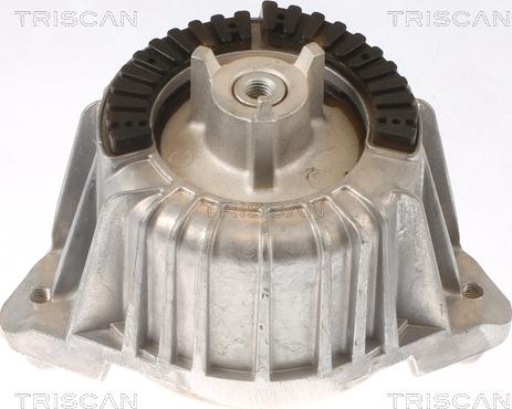 Triscan 8505 23101 - Piekare, Dzinējs ps1.lv