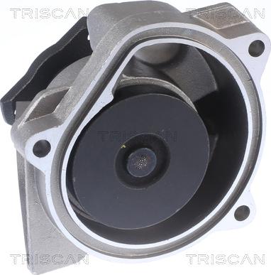 Triscan 8500 29896 - Bukse, Stabilizators ps1.lv