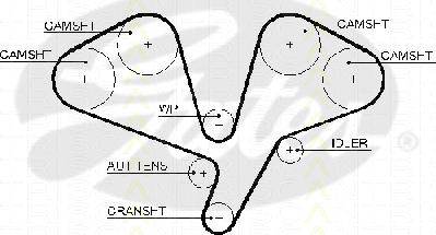 Triscan 8645 5611xs - Zobsiksna ps1.lv