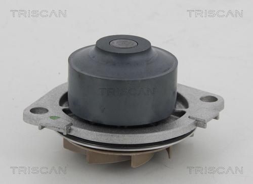 Triscan 8600 15013 - Ūdenssūknis ps1.lv