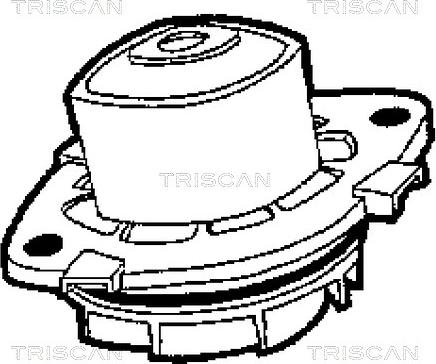 Triscan 8600 15013 - Ūdenssūknis ps1.lv