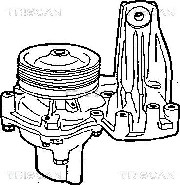 Triscan 8600 15885 - Ūdenssūknis ps1.lv