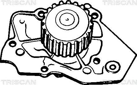 Triscan 8600 10409 - Ūdenssūknis ps1.lv