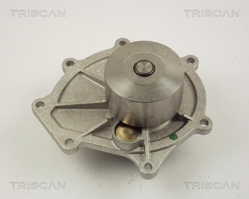 Triscan 8600 17009 - Ūdenssūknis ps1.lv