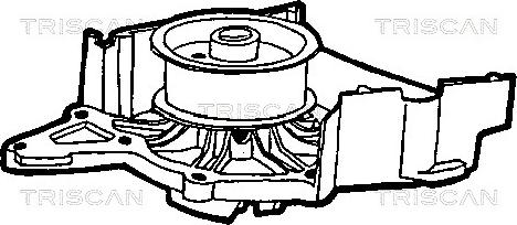 Triscan 8600 29961 - Ūdenssūknis ps1.lv