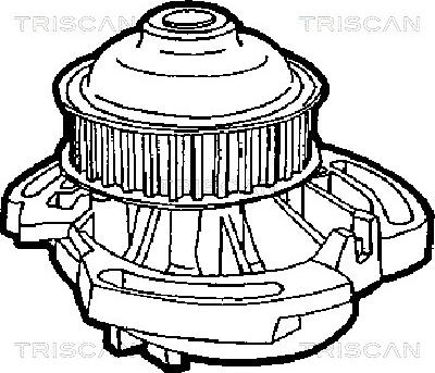 Triscan 8600 29984 - Ūdenssūknis ps1.lv