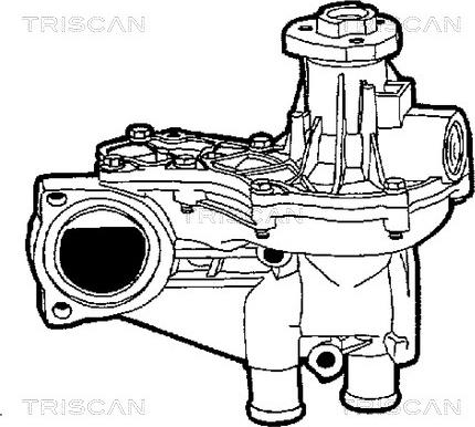 Triscan 8600 29003 - Ūdenssūknis ps1.lv