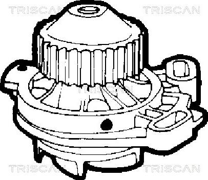 Triscan 8600 29897 - Ūdenssūknis ps1.lv