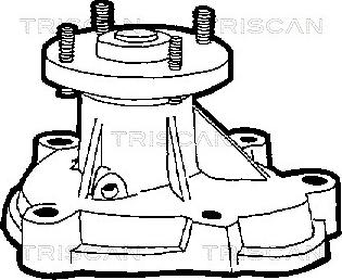 Triscan 8600 24006 - Ūdenssūknis ps1.lv