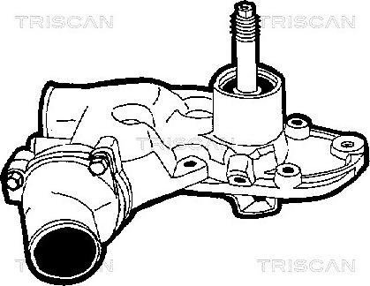 Triscan 8600 28003 - Ūdenssūknis ps1.lv