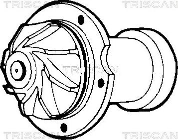 Triscan 8600 23032 - Ūdenssūknis ps1.lv