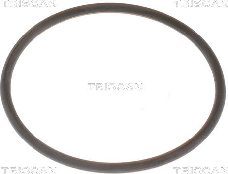 Triscan 8620 9688 - Termostats, Dzesēšanas šķidrums ps1.lv