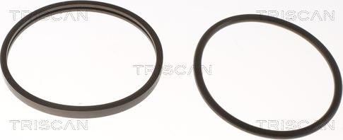 Triscan 8620 2591 - Termostats, Dzesēšanas šķidrums ps1.lv