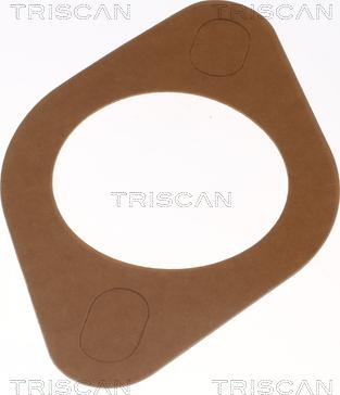 Triscan 8620 2088 - Termostats, Dzesēšanas šķidrums ps1.lv