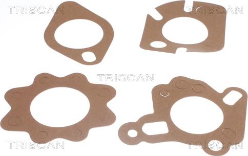 Triscan 8620 2188 - Termostats, Dzesēšanas šķidrums ps1.lv