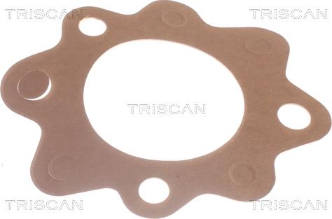 Triscan 8620 7882 - Termostats, Dzesēšanas šķidrums ps1.lv