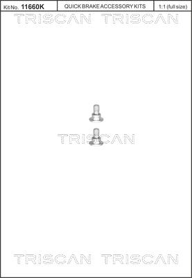 Triscan 8105 116001 - Skrūvju komplekts, Bremžu disks ps1.lv