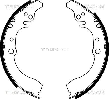 Triscan 8100 41617 - Bremžu loku komplekts ps1.lv