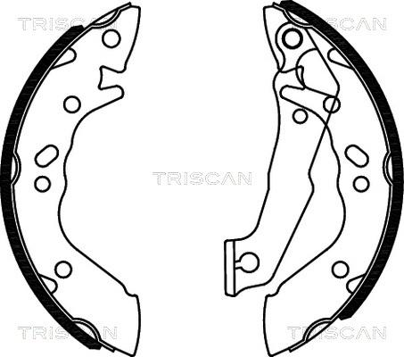 Triscan 8100 43560 - Bremžu loku komplekts ps1.lv