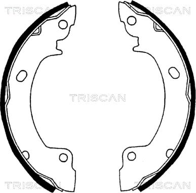 Triscan 8100 43529 - Bremžu loku komplekts ps1.lv