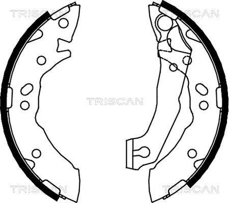 Triscan 8100 43621 - Bremžu loku komplekts ps1.lv