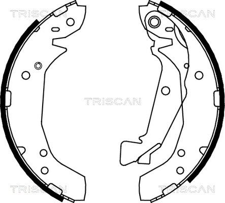 Triscan 8100 43025 - Bremžu loku komplekts ps1.lv