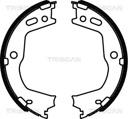 Triscan 8100 43028 - Bremžu loku kompl., Stāvbremze ps1.lv