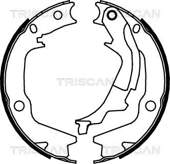 Triscan 8100 43022 - Bremžu loku komplekts ps1.lv