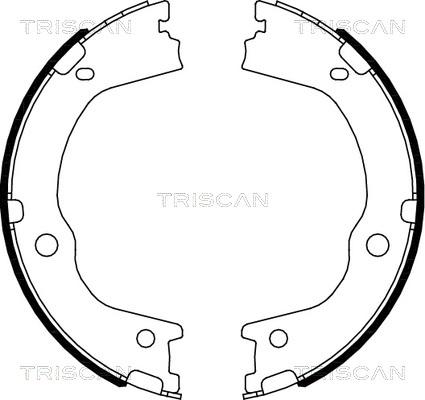 Triscan 8100 43027 - Bremžu loku komplekts ps1.lv