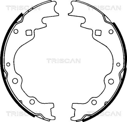 Triscan 8100 50461 - Bremžu loku komplekts ps1.lv