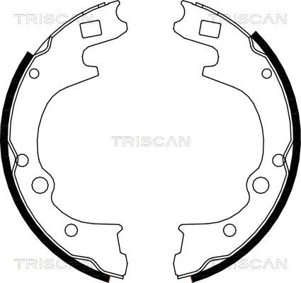 Triscan 8100 50604 - Bremžu loku komplekts ps1.lv