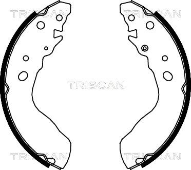 Triscan 8100 69584 - Bremžu loku komplekts ps1.lv